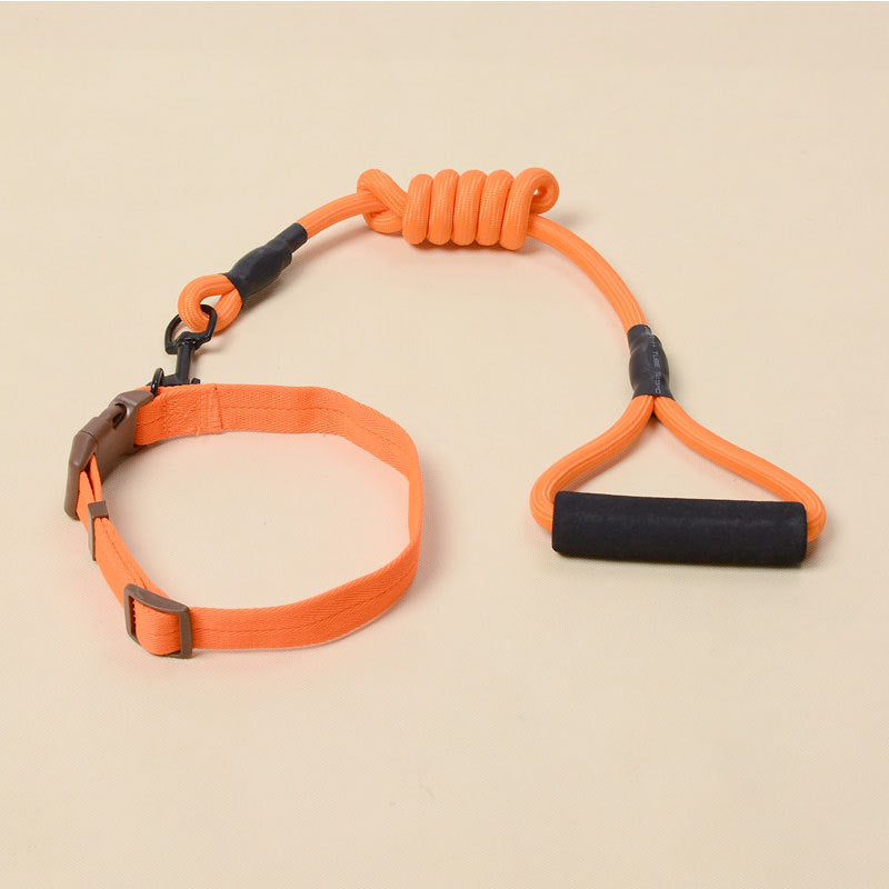 Solid Color Dog Harness & Leash Set