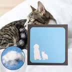 Pet Hair Remover Sponge – Static Foam Brush for Carpets, Sofas & Clothes