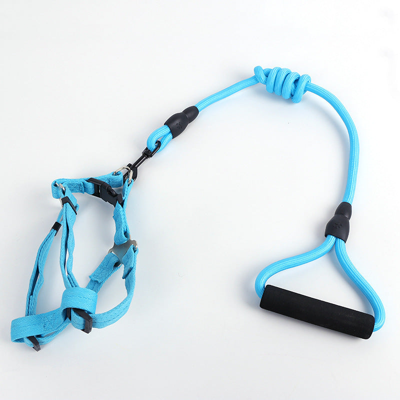 Solid Color Dog Harness & Leash Set