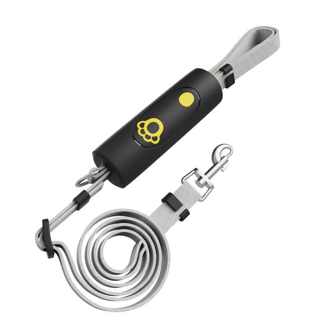 Dog Training Collar & Leash