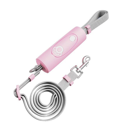 Dog Training Collar & Leash