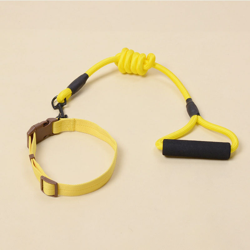 Solid Color Dog Harness & Leash Set