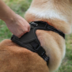Explosion-Proof Tactical Dog Vest
