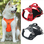 Explosion-Proof Tactical Dog Vest