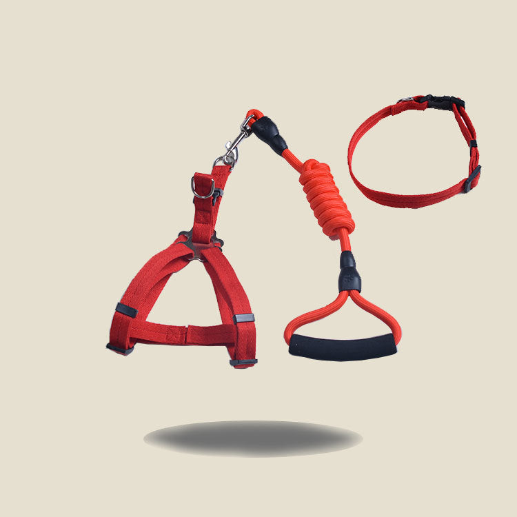 Solid Color Dog Harness & Leash Set