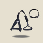 Solid Color Dog Harness & Leash Set