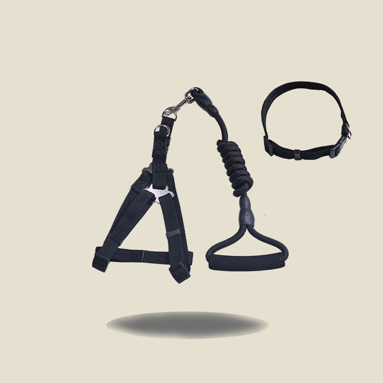 Solid Color Dog Harness & Leash Set