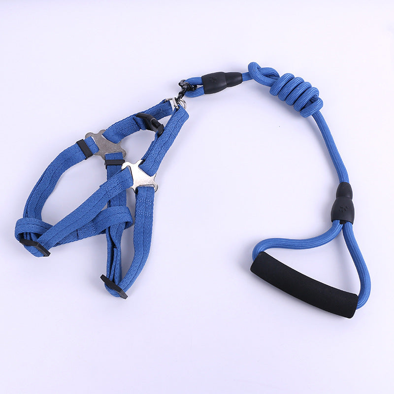 Solid Color Dog Harness & Leash Set