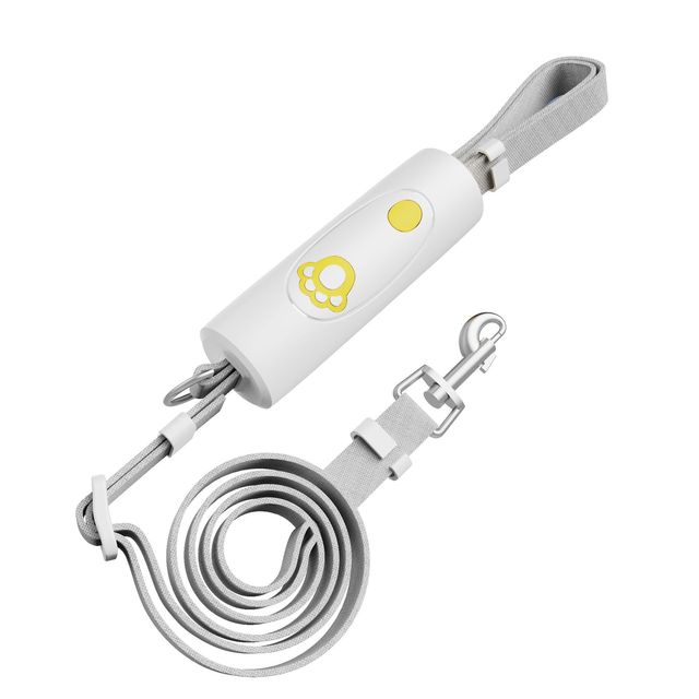 Dog Training Collar & Leash