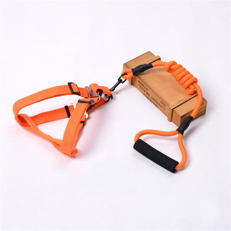 Solid Color Dog Harness & Leash Set
