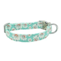 Adjustable Metal Buckle Dog Collar – Durable Training & Everyday Use