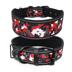 Reflective Printed Dog Collar – Comfortable & Safe for Day and Night
