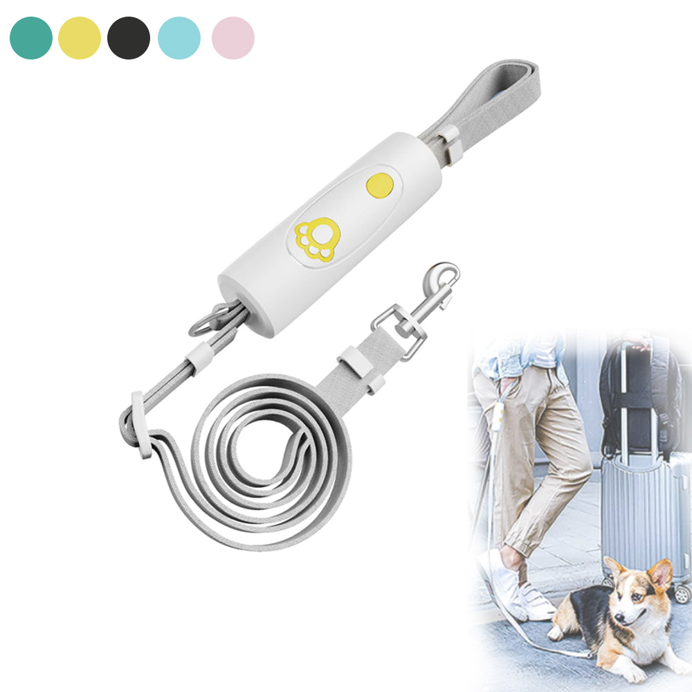 Dog Training Collar & Leash