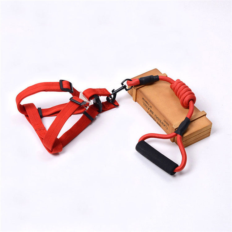 Solid Color Dog Harness & Leash Set