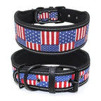 Reflective Printed Dog Collar – Comfortable & Safe for Day and Night