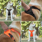 Explosion-Proof Tactical Dog Vest