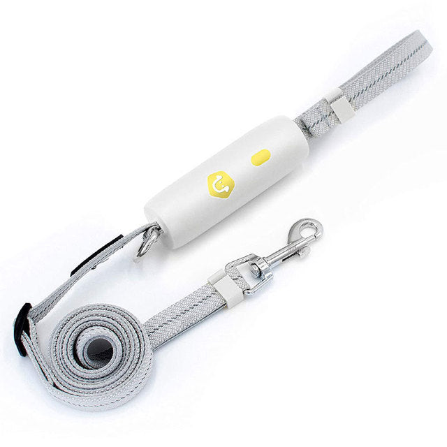 Elastic Reflective Dog Leash