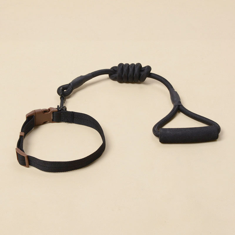 Solid Color Dog Harness & Leash Set