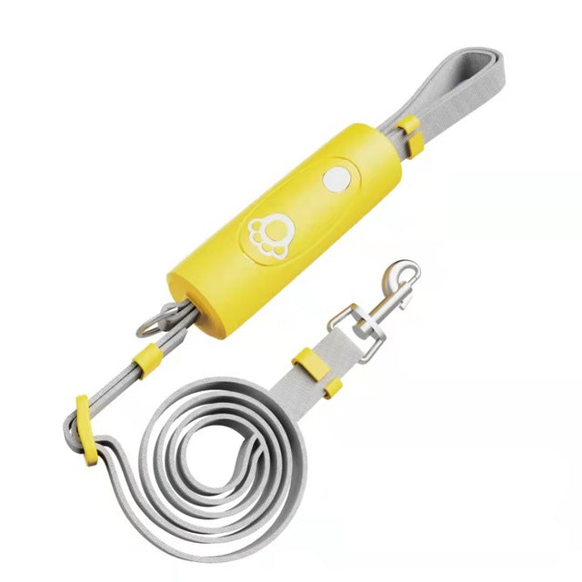 Dog Training Collar & Leash