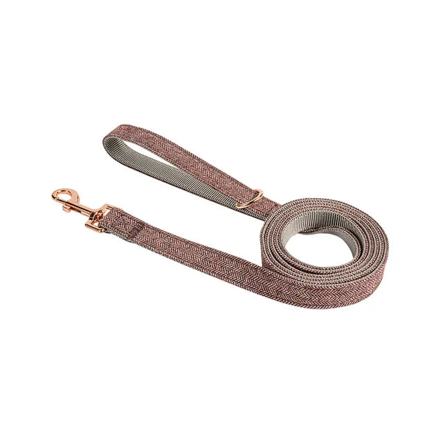 Multi-Color Nylon Dog Leash – Durable Outdoor Walking Lead