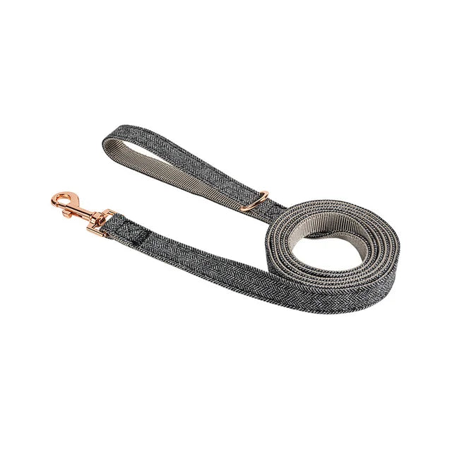 Multi-Color Nylon Dog Leash – Durable Outdoor Walking Lead