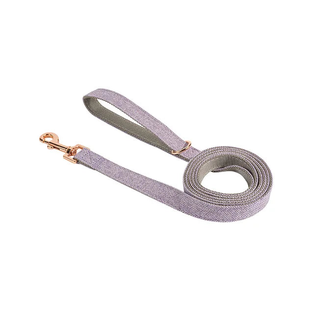 Multi-Color Nylon Dog Leash – Durable Outdoor Walking Lead