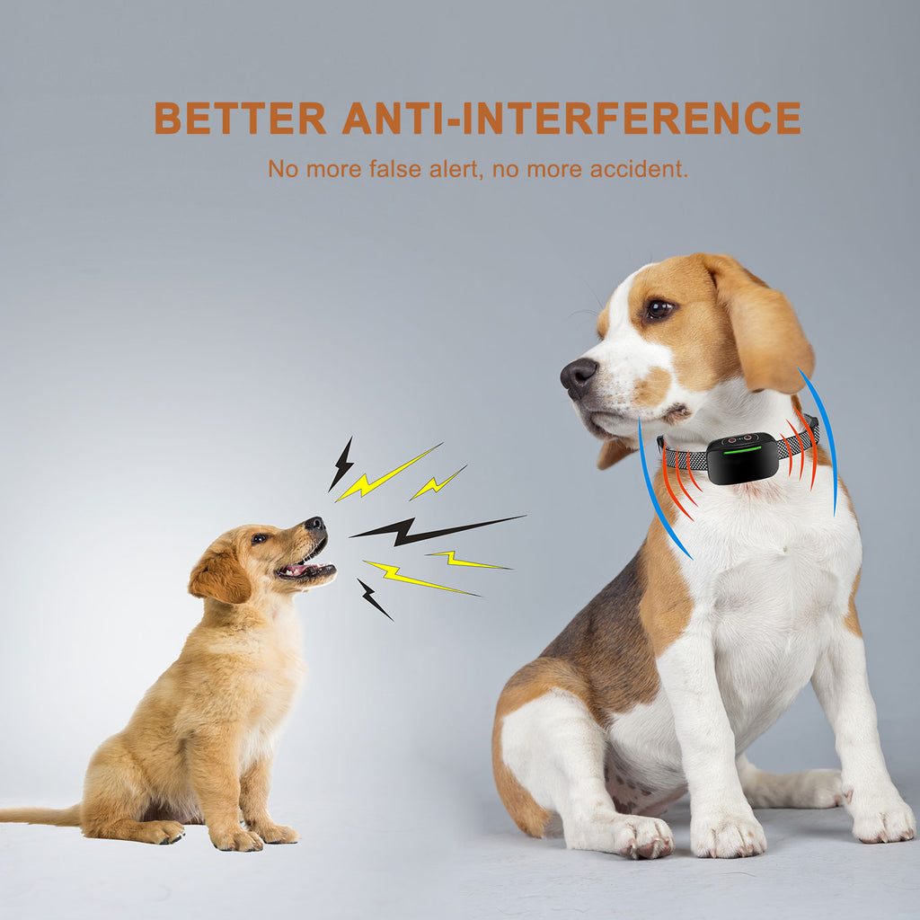 Safety Vibration Dog Training Collar – Waterproof & Durable