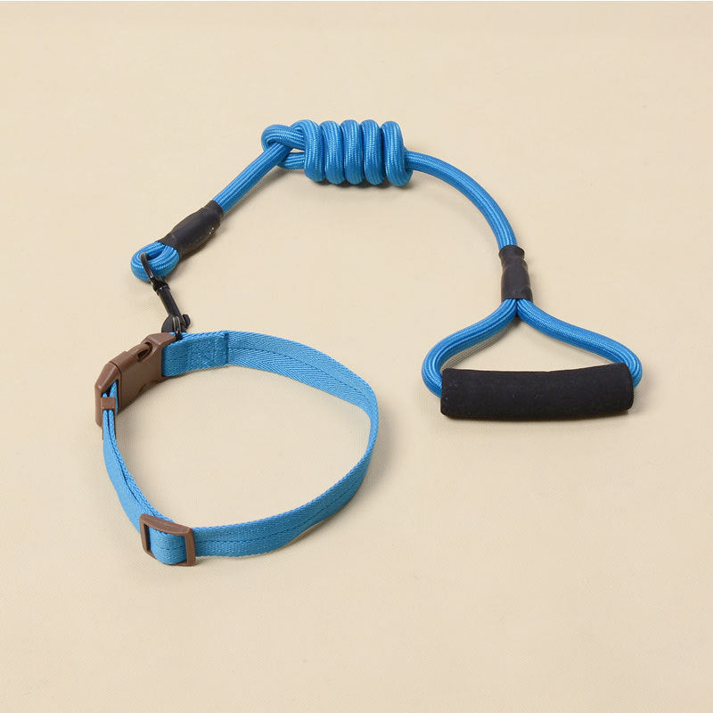 Solid Color Dog Harness & Leash Set