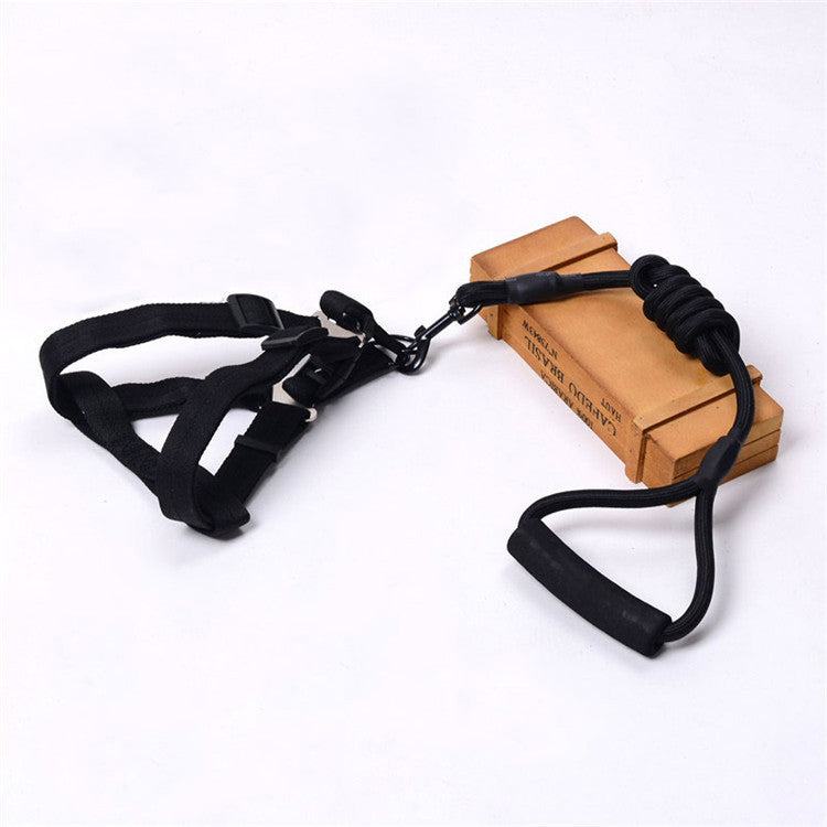 Solid Color Dog Harness & Leash Set