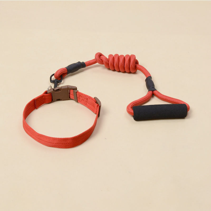Solid Color Dog Harness & Leash Set