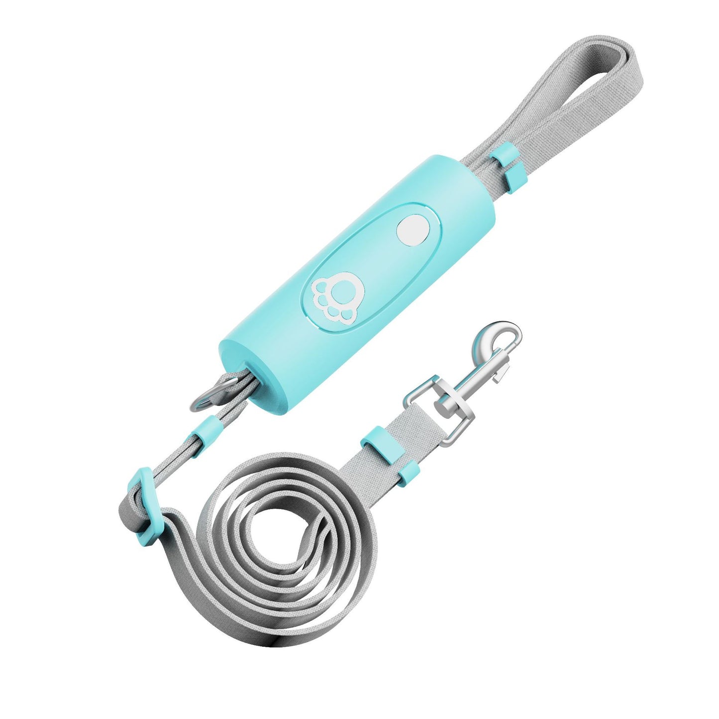 Dog Training Collar & Leash