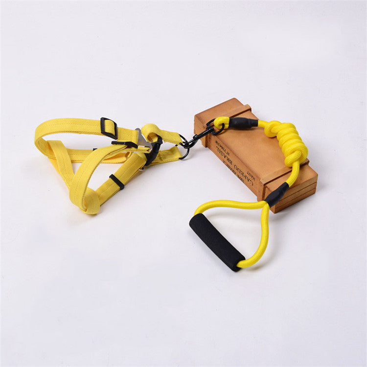 Solid Color Dog Harness & Leash Set