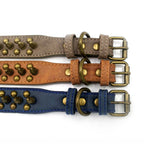 Adjustable Leather Spiked Dog Collar