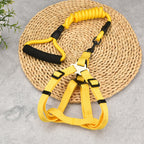 Adjustable Dog Chest Strap Harness with Leash – Comfortable Walking Lead