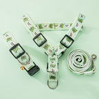 Cartoon Pet Harness & Leash Set