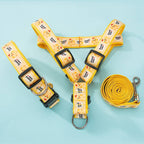 Cartoon Pet Harness & Leash Set