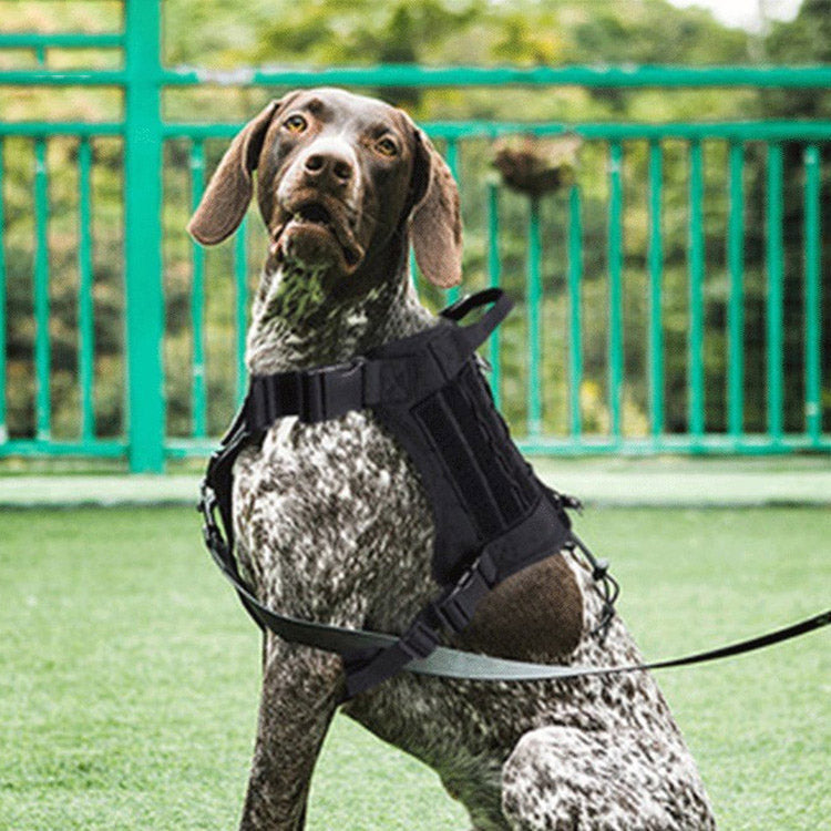 Outdoor Tactical Dog Harness with Leas