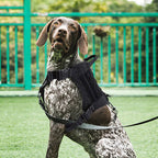 Outdoor Tactical Dog Harness with Leas