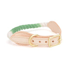 Gradient Cotton Leather Dog Leash & Collar Set