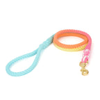 Gradient Cotton Leather Dog Leash & Collar Set