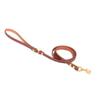 Solid Leather Dog Leash