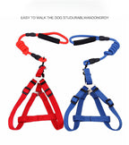 Solid Color Dog Harness & Leash Set
