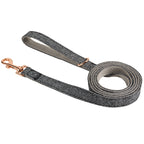 Multi-Color Nylon Dog Leash – Durable Outdoor Walking Lead